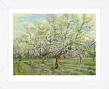 The White Orchard, 1888 (Framed) -  Vincent van Gogh - McGaw Graphics