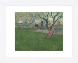 Orchards in Blossom, view of Arles, 1889 (Framed) -  Vincent van Gogh - McGaw Graphics