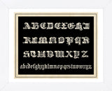 Ornamental French Alphabet (black) (Framed) -  Vintage Reproduction - McGaw Graphics