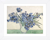 Irises  (Framed) -  Vincent van Gogh - McGaw Graphics