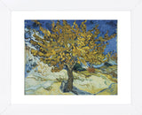 The Mulberry Tree, 1889  (Framed) -  Vincent van Gogh - McGaw Graphics