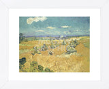 The Wheat Field, 1888  (Framed) -  Vincent van Gogh - McGaw Graphics