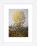 Yellow Tree & Teasel (Framed) -  David Lorenz Winston - McGaw Graphics