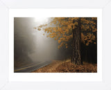 Yellow Leaves in Fog (Framed) -  David Lorenz Winston - McGaw Graphics