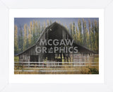 Barn and Poplars (Framed) -  David Lorenz Winston - McGaw Graphics