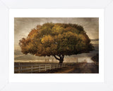 Autumnal Landscape (Framed) -  David Lorenz Winston - McGaw Graphics