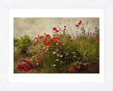 Poppy Garden (Framed) -  David Lorenz Winston - McGaw Graphics