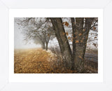 Fall to Winter (Framed) -  David Lorenz Winston - McGaw Graphics