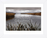 Lake Calm (Framed) -  David Lorenz Winston - McGaw Graphics