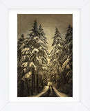 Wagner Creek Snow (Framed) -  David Lorenz Winston - McGaw Graphics