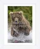 Alaska Bear (Framed) -  Art Wolfe - McGaw Graphics