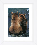 Two Bear Cubs  (Framed) -  Art Wolfe - McGaw Graphics