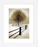 Solitude  (Framed) -  David Lorenz Winston - McGaw Graphics