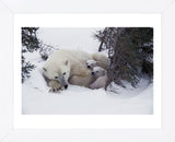 Snow Day  (Framed) -  Art Wolfe - McGaw Graphics