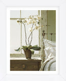 Bedside Orchid (Framed) -  Zhen-Huan Lu - McGaw Graphics