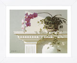 Mantelpiece Orchid (Framed) -  Zhen-Huan Lu - McGaw Graphics