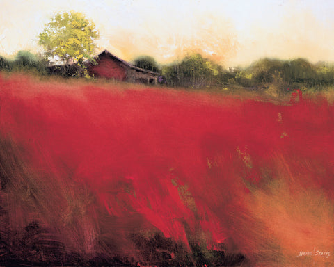 Red Land -  Thomas Stotts - McGaw Graphics