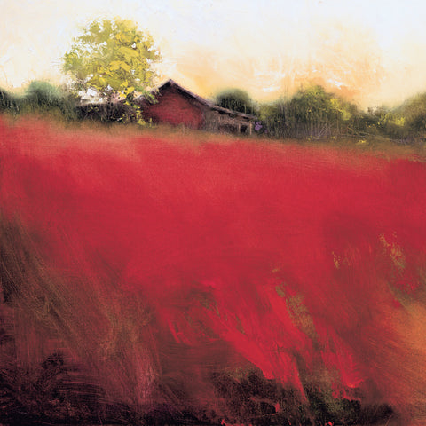 Red Land (detail) -  Thomas Stotts - McGaw Graphics
