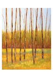 Tall Trees I (left) -  Libby Smart - McGaw Graphics