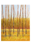 Tall Trees II (right) -  Libby Smart - McGaw Graphics