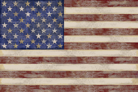 U.S. Flag -  Sparx Studio - McGaw Graphics