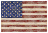 U.S. Flag -  Sparx Studio - McGaw Graphics