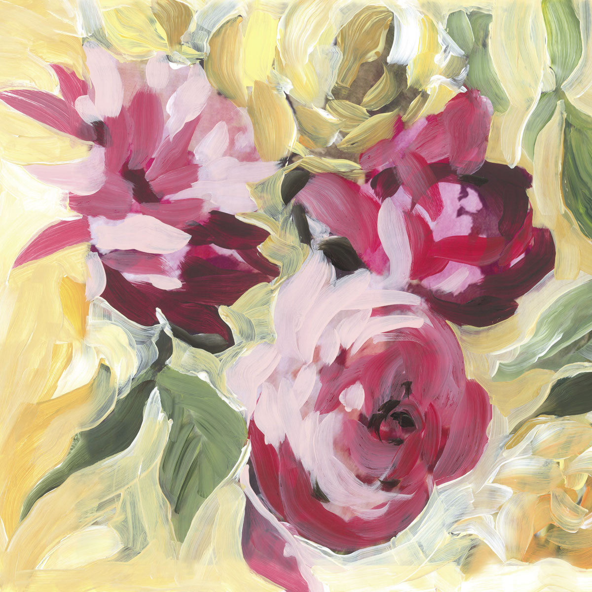 Raspberry Roses | McGaw Graphics