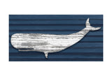 Rustic Whale -  Sparx Studio - McGaw Graphics