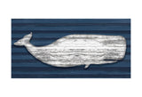 Weathered Whale -  Sparx Studio - McGaw Graphics