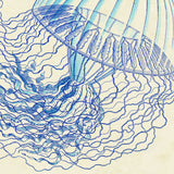 Vintage Jellyfish I -  Sparx Studio - McGaw Graphics