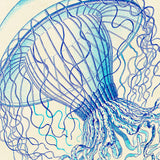 Vintage Jellyfish II -  Sparx Studio - McGaw Graphics