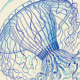 Vintage Jellyfish II -  Sparx Studio - McGaw Graphics