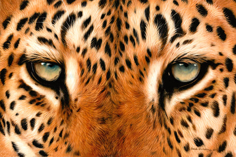 Leopard Eyes Painting -  Sarah Stribbling - McGaw Graphics