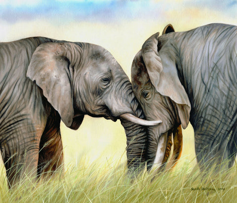 African Elephants -  Sarah Stribbling - McGaw Graphics