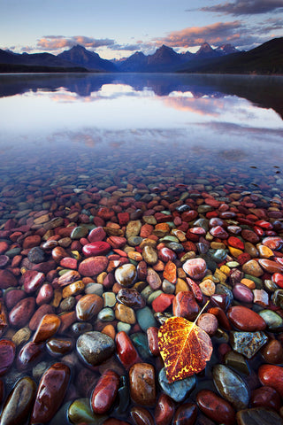 Lake McDonald Glacier National Park -  Jason Savage - McGaw Graphics