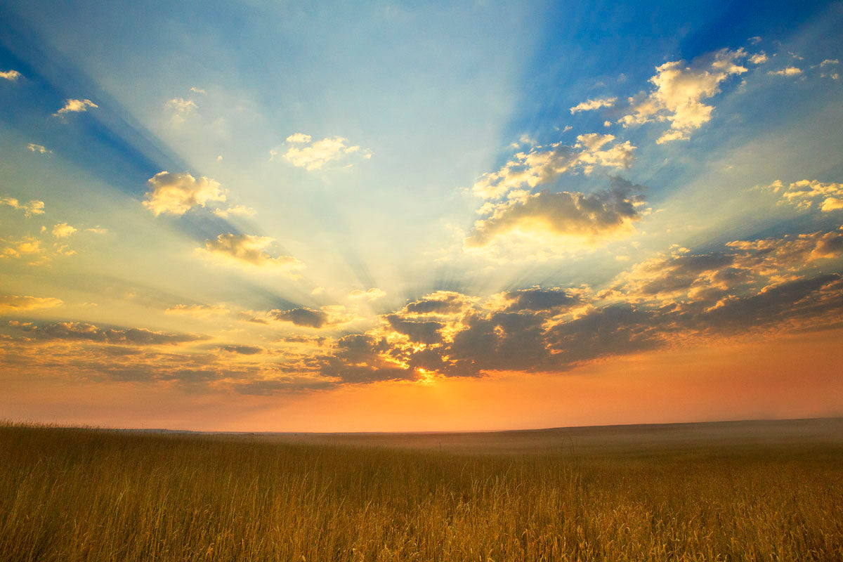 S2662_6b24b02a-5a9a-417d-897a-