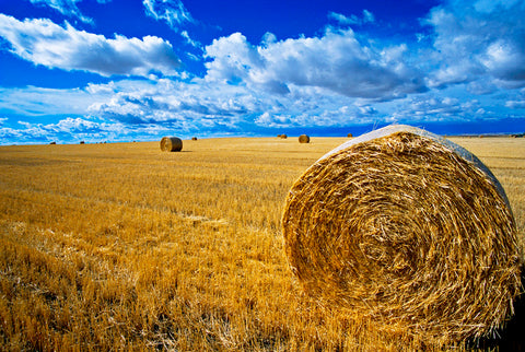 Hay & Sky -  Jason Savage - McGaw Graphics