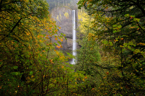Oregon Waterfall -  Jason Savage - McGaw Graphics