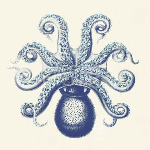 Octopus II -  Sparx Studio - McGaw Graphics