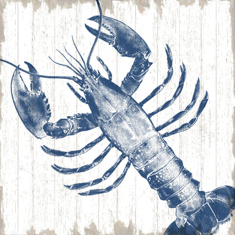 Seaside Lobster -  Sparx Studio - McGaw Graphics