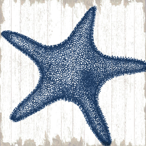 Seaside Starfish -  Sparx Studio - McGaw Graphics
