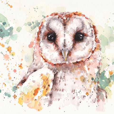 Australian Barn Owl -  Sillier than Sally - McGaw Graphics