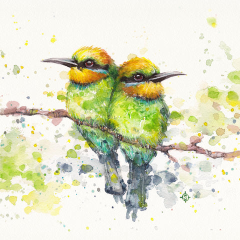 Family (Rainbow Bee Eaters) -  Sillier than Sally - McGaw Graphics