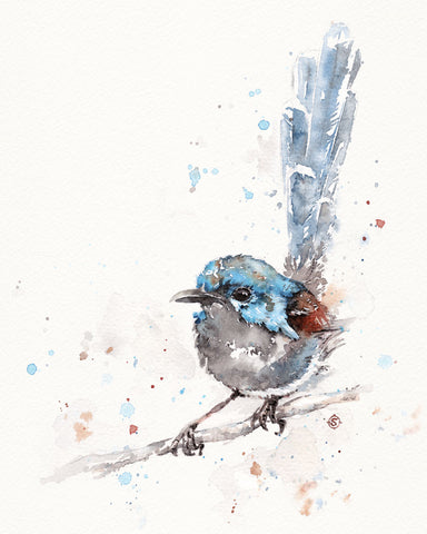 Mischief in the Making (Variegated Fairy Wren) -  Sillier than Sally - McGaw Graphics