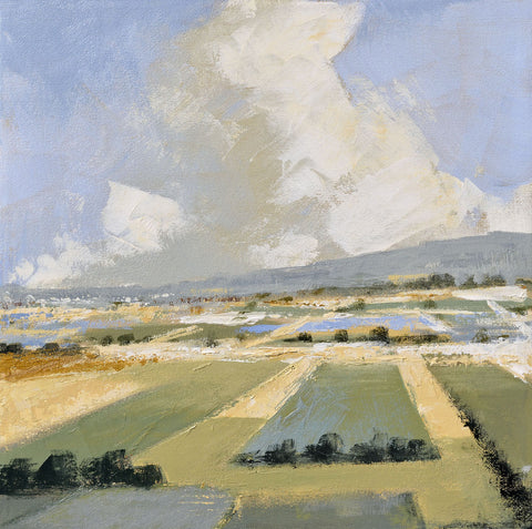Sunny Fields I -  Robert Seguin - McGaw Graphics