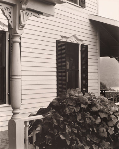 House and Grape Leaves, 1934
