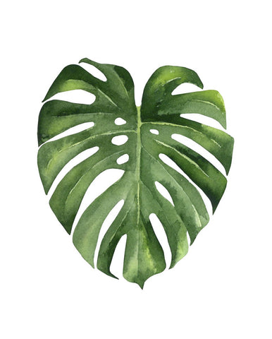 Monstera II -  Ann Solo - McGaw Graphics