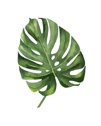 Monstera III -  Ann Solo - McGaw Graphics