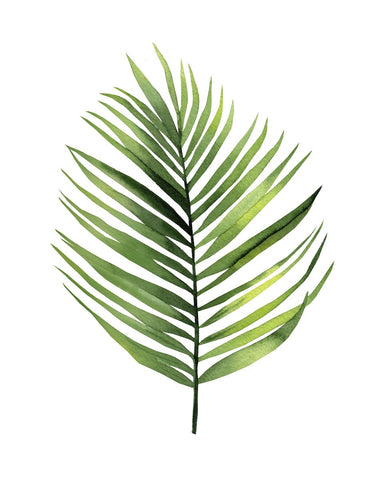 Palm Leaf I -  Ann Solo - McGaw Graphics