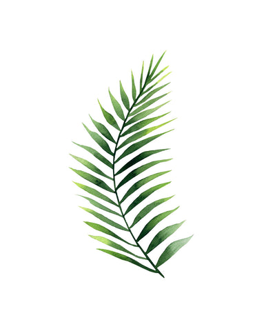 Palm Leaf II